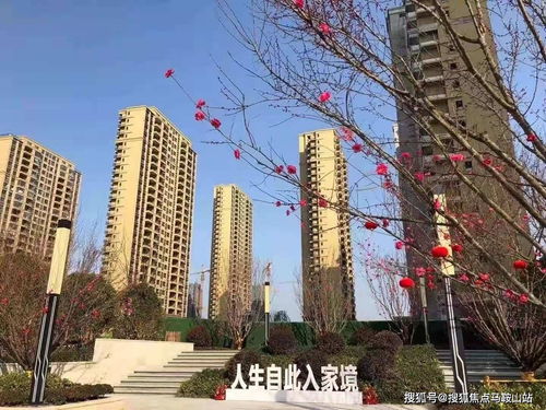 鎮江新盤速遞 一站式獲取樓盤動態、地址戶型與教育資源解析